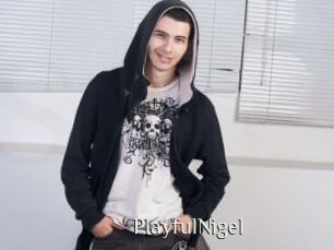 PlayfulNigel