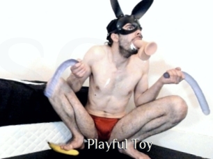 Playful_Toy