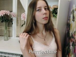 PurrrfectJane