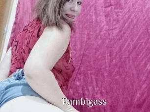 Pambigass