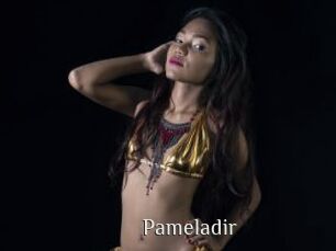 Pameladir