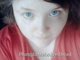 Plumpbreastedredhead