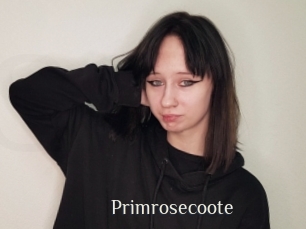 Primrosecoote