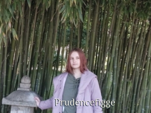 Prudencefigge