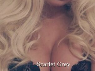 Scarlet_Grey