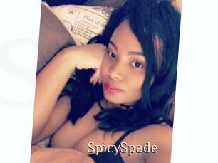 SpicySpade