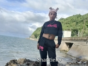 Shantielee