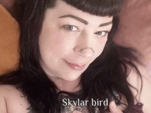 Skylar_bird