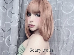 Soary_trans