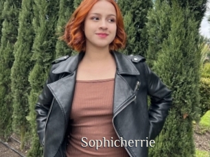 Sophicherrie