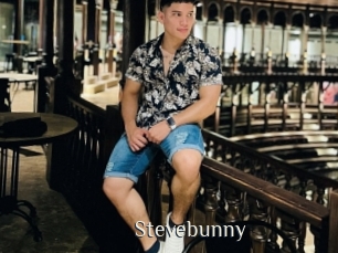 Stevebunny