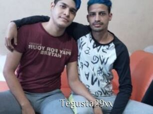 Tegusta29xx