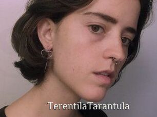 TerentilaTarantula