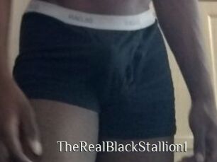 TheRealBlackStallion1