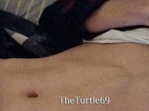 TheTurtle69