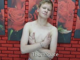 ThornSpace