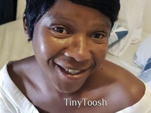 TinyToosh