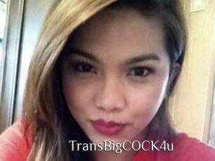 TransBigCOCK4u