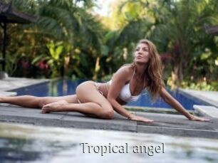 Tropical_angel