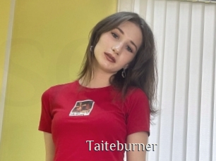 Taiteburner