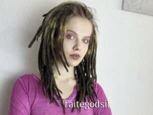 Taitegodsil