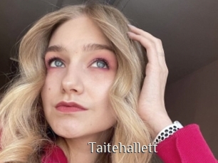 Taitehallett