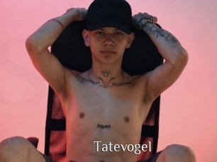 Tatevogel