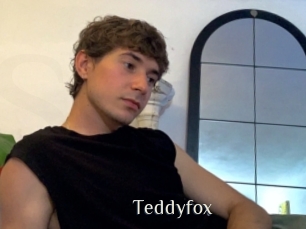 Teddyfox