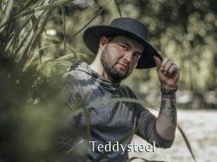 Teddysteel