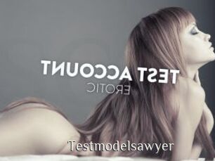 Testmodelsawyer