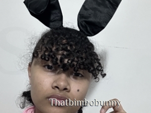 Thatbimbobunny