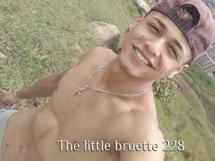 The_little_bruette_228