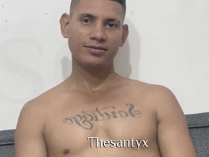 Thesantyx