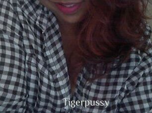 Tigerpussy