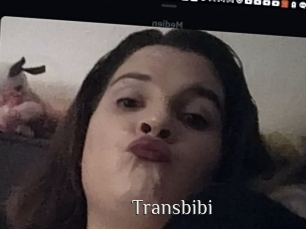 Transbibi