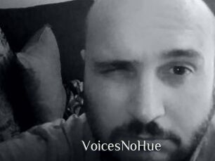 VoicesNoHue