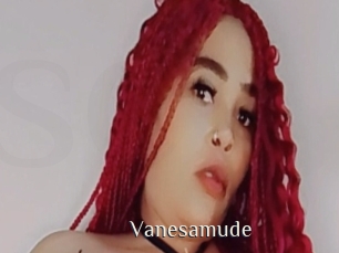 Vanesamude