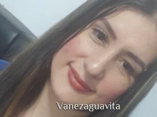 Vanezaguavita