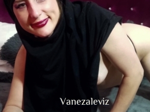 Vanezaleviz