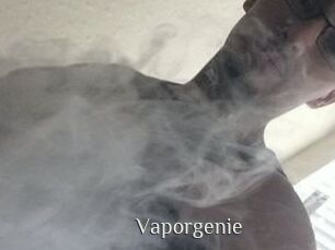 Vapor_genie