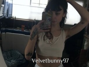 Velvetbunny97