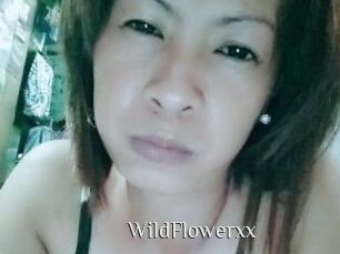 WildFlowerxx