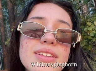 Whitneygleghorn