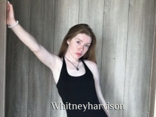Whitneyharvison