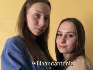 Willaandantonia